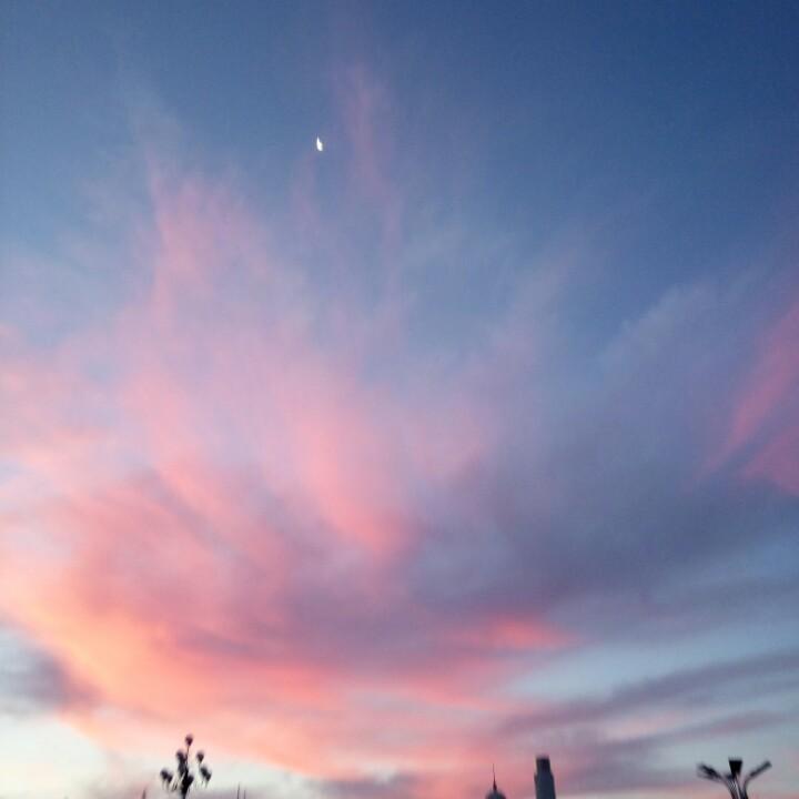 小 纪  炖蘑菇