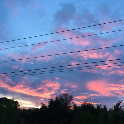 小杨（网红版）