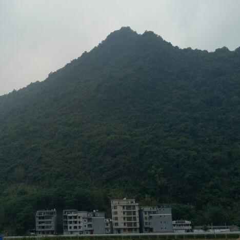 冷雨