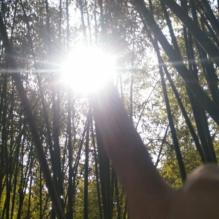 糖糖