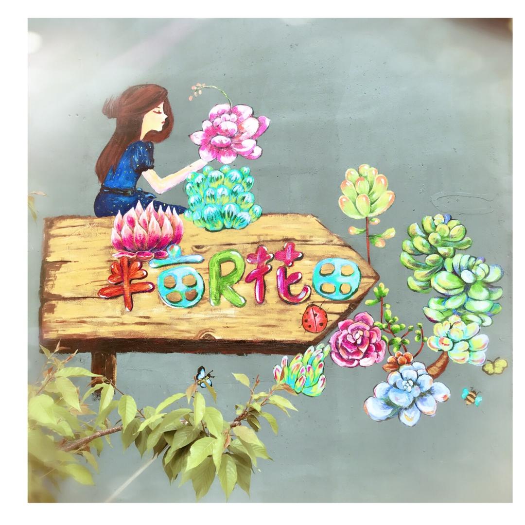 半亩R花田多肉