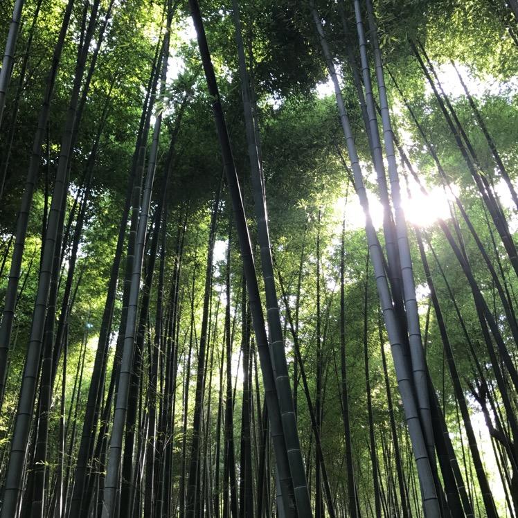 数淘精选