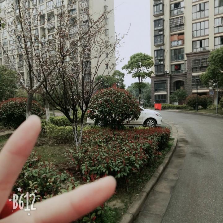 1.16