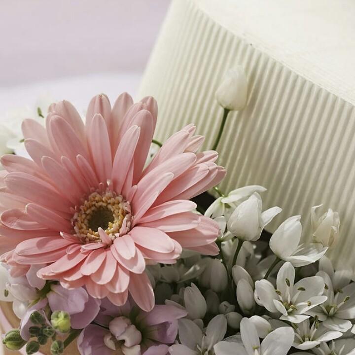 时间可以冲淡一切……