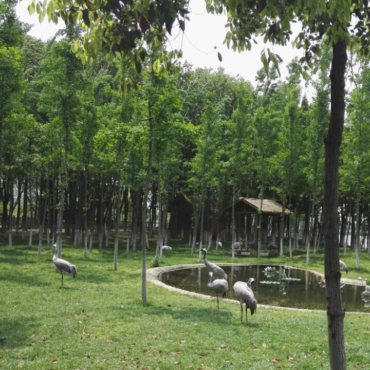 开心ヽ(○^㉨^)ﾉ♪