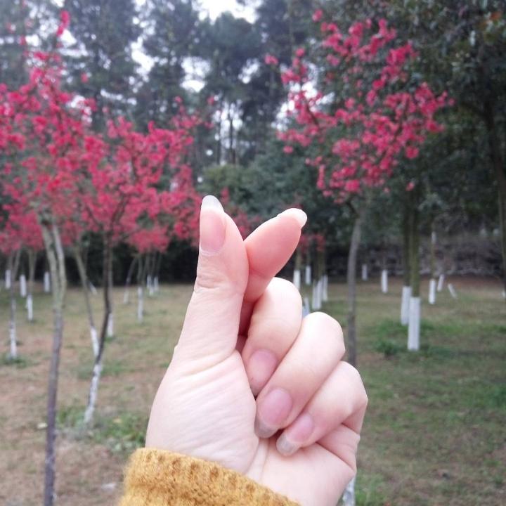 费妈神兽