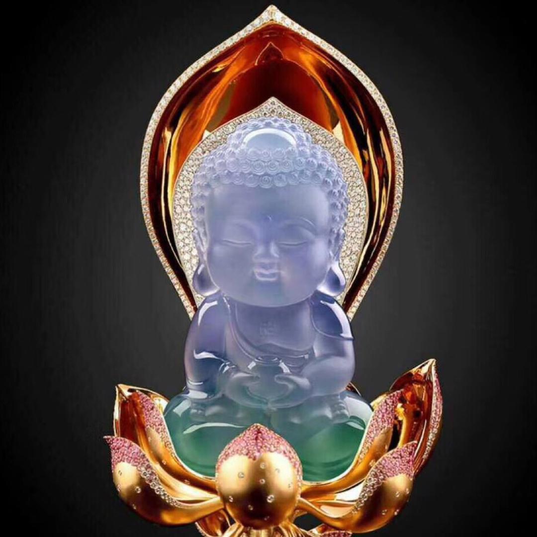 哪来哪去