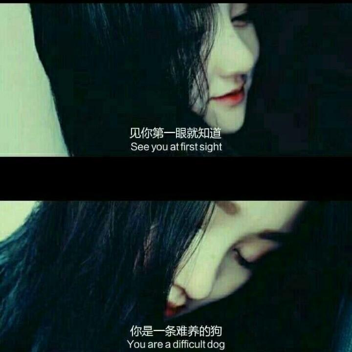 李凤