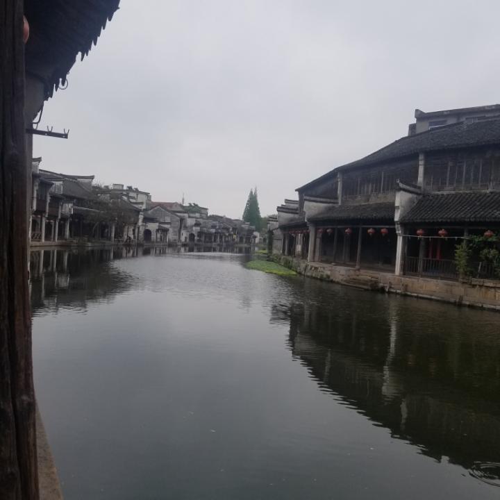 东山大趴菜