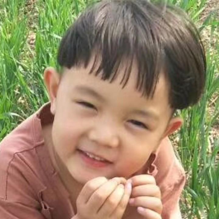 龙