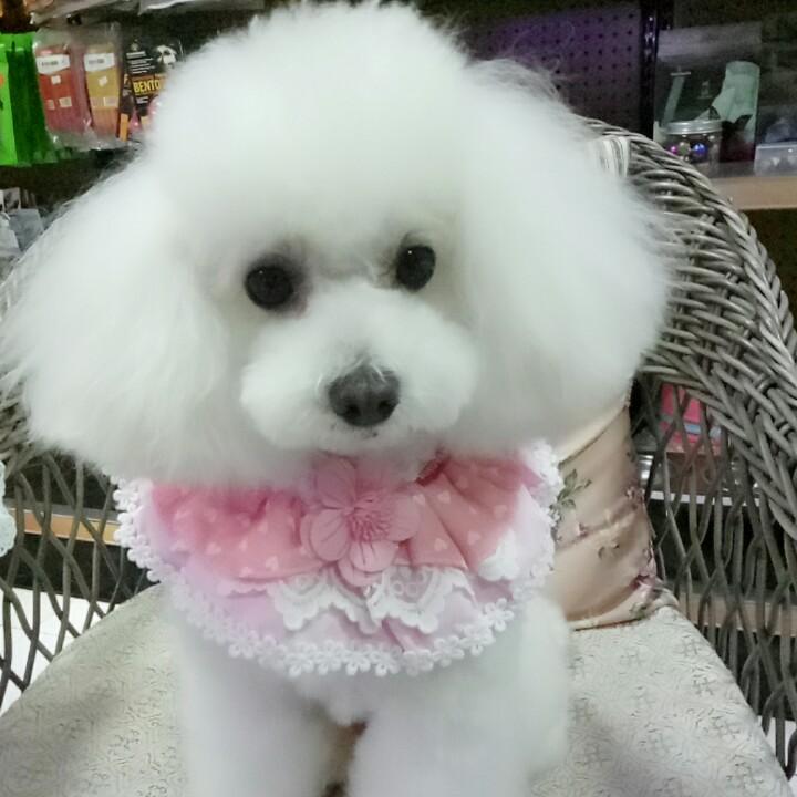 默默