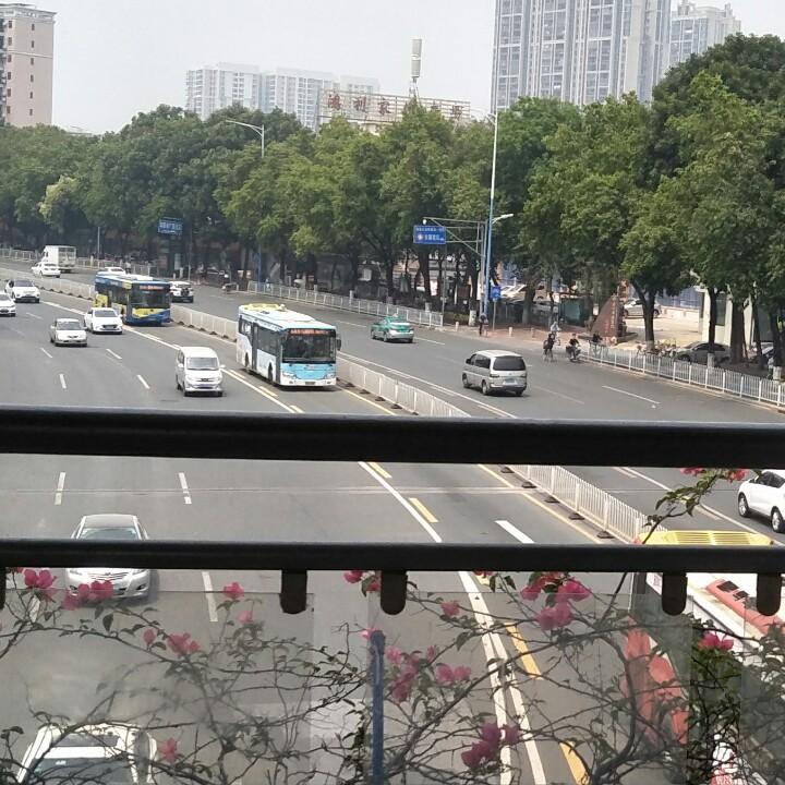 落花时节又蓬君，