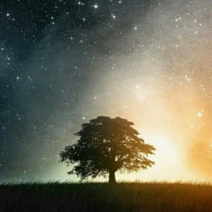 一眼望穿