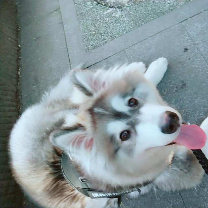 芯颜