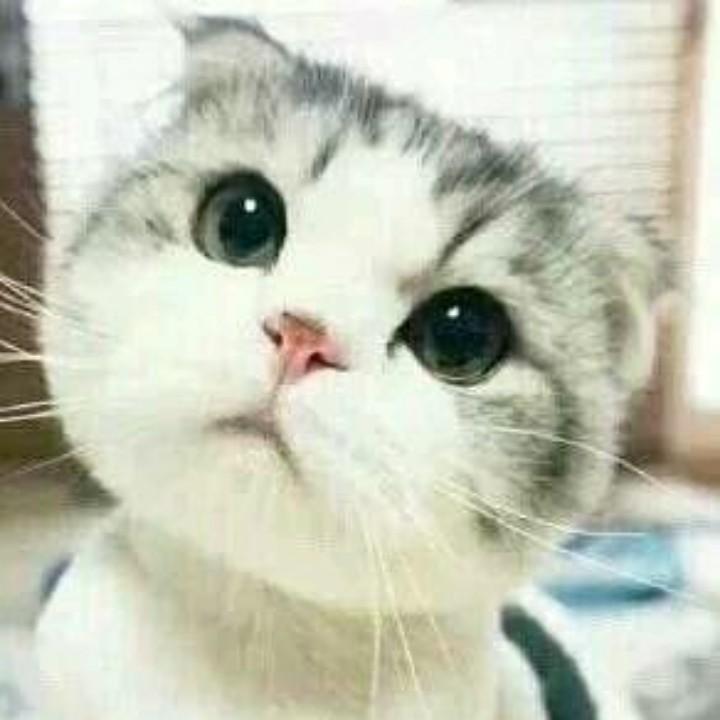 等不见天亮等时光