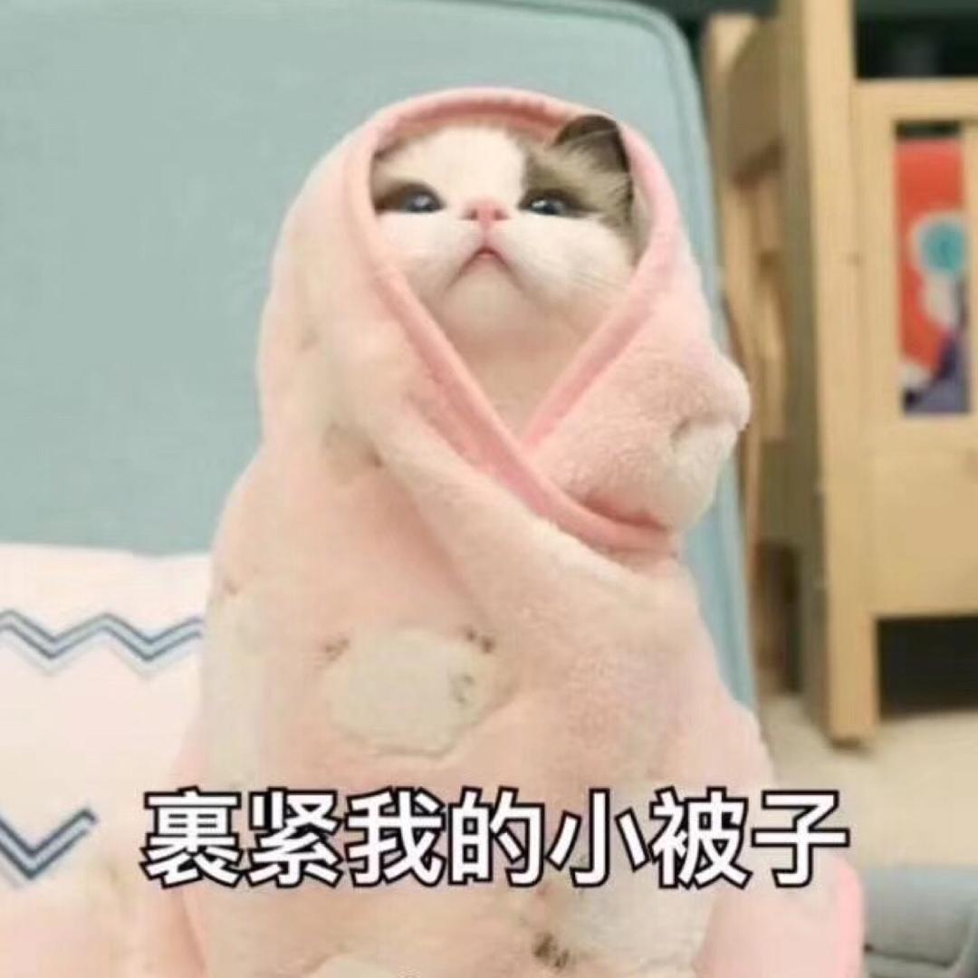 一只小燕子C