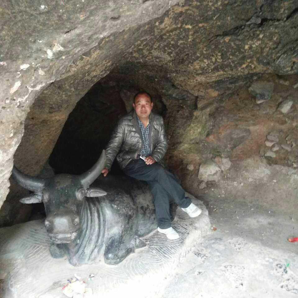 和琴同乐