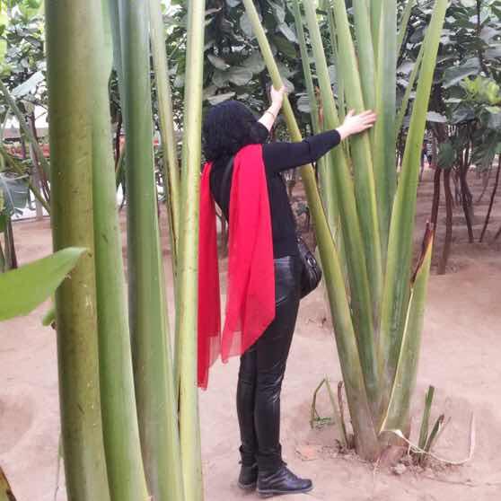 悠然漫步（拒私聊）