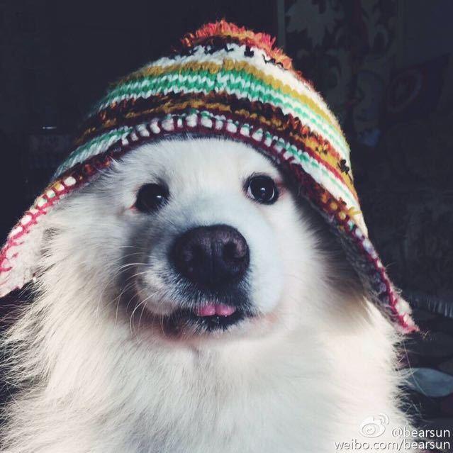 三秋秋
