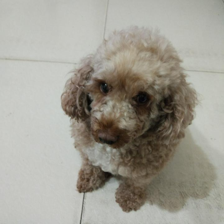 爱吃的妞