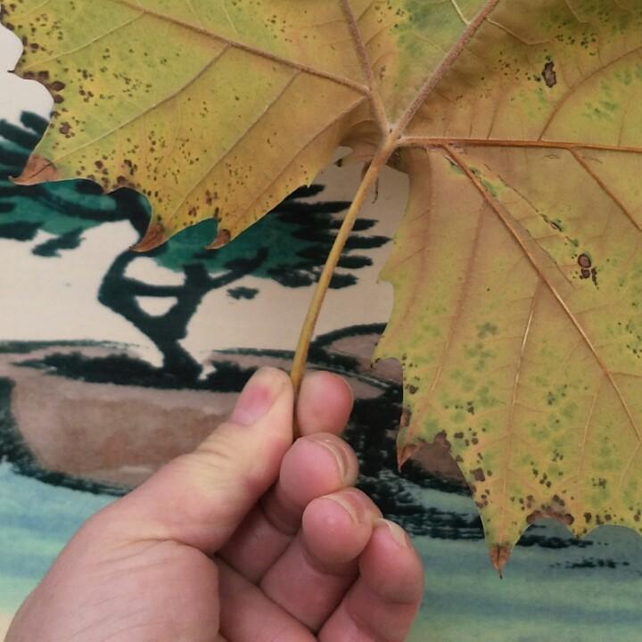 寻找快乐