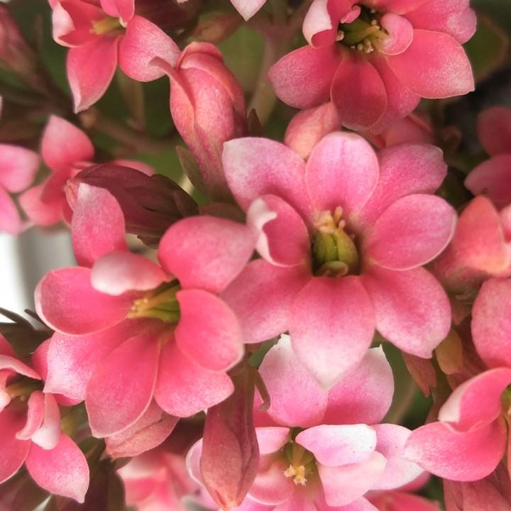 用户9021257460158默念