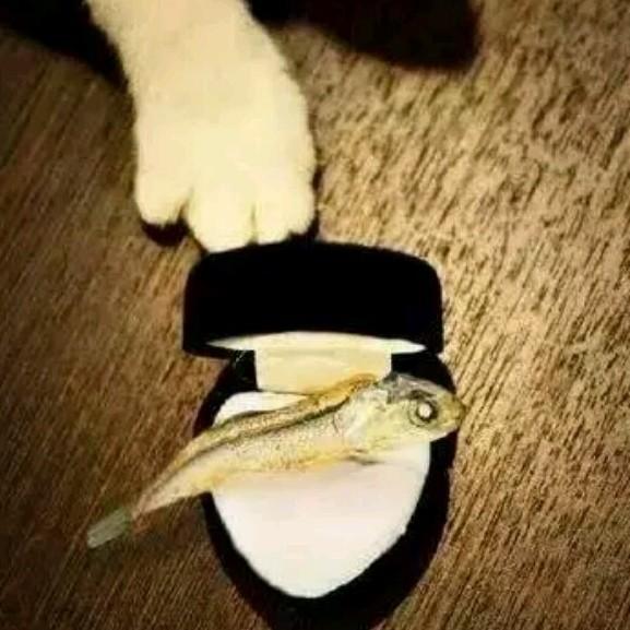 南城熊猫装饰