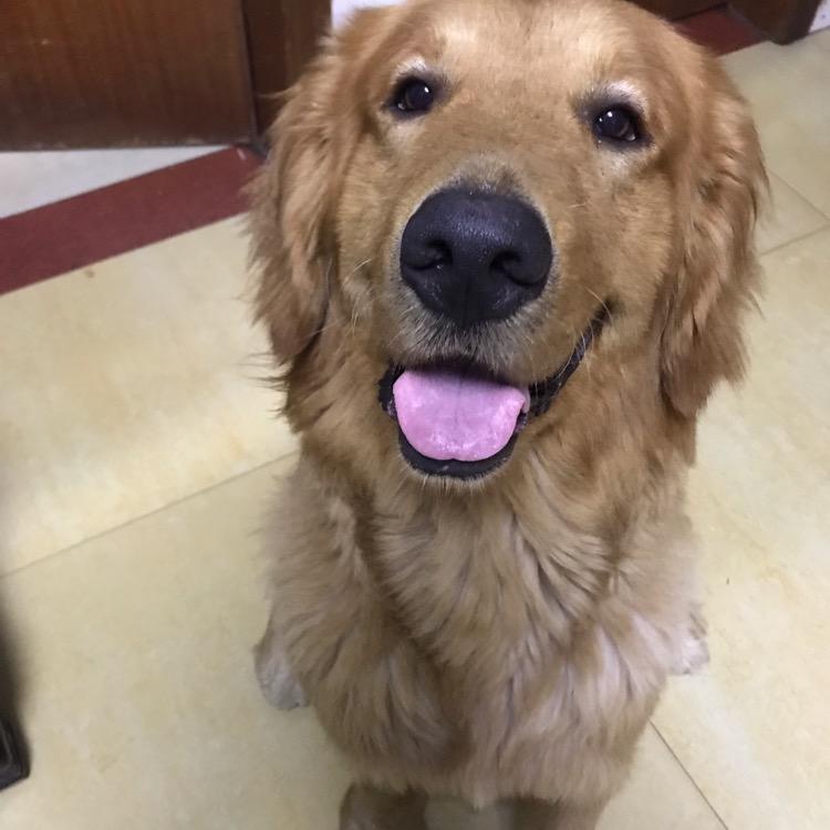 柚柚呀💕