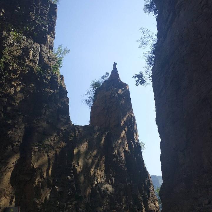 愿