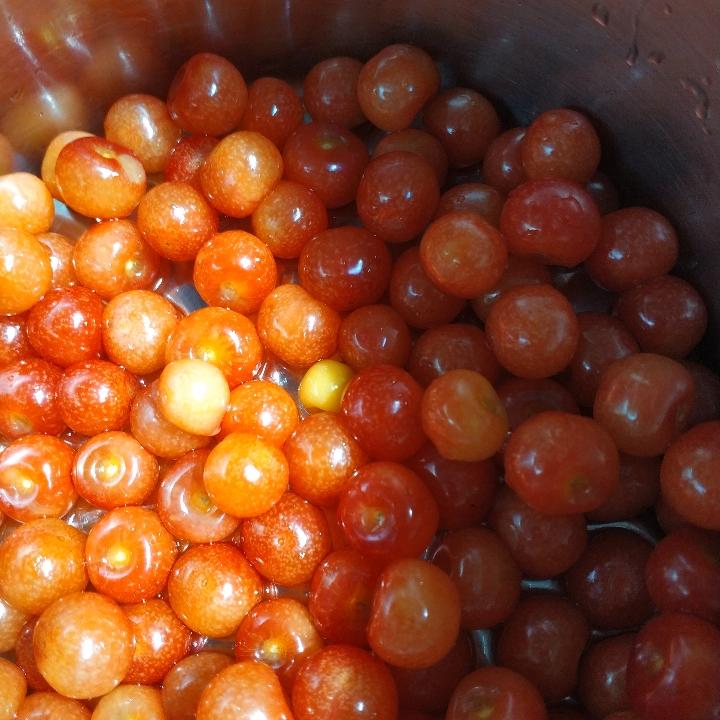 绵竹市新市镇四季香饭店