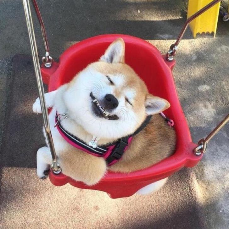 小腻腻