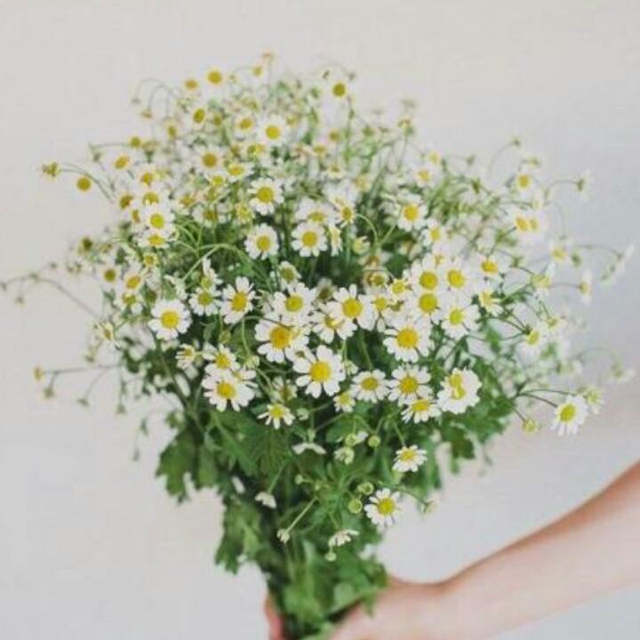 你好👋明天🌸