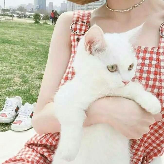 慌慌张张。