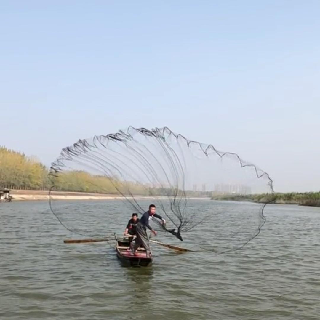 大师兄撒网