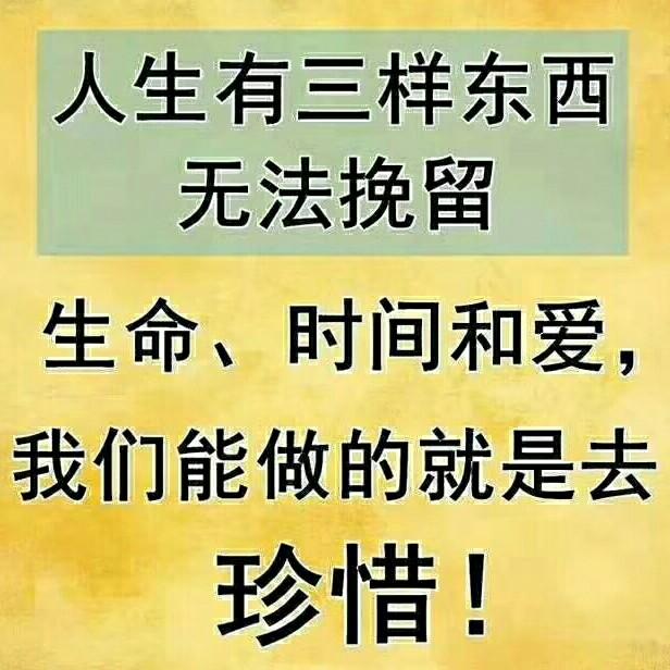 @查无此人