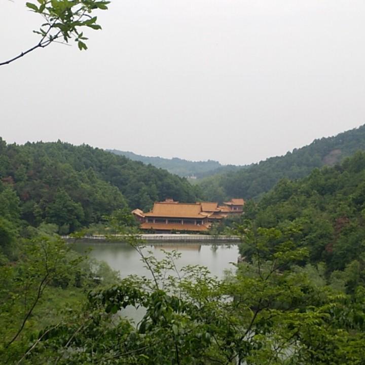 有你相伴