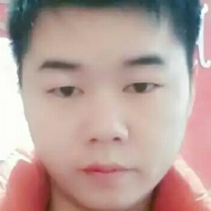 小罗罗