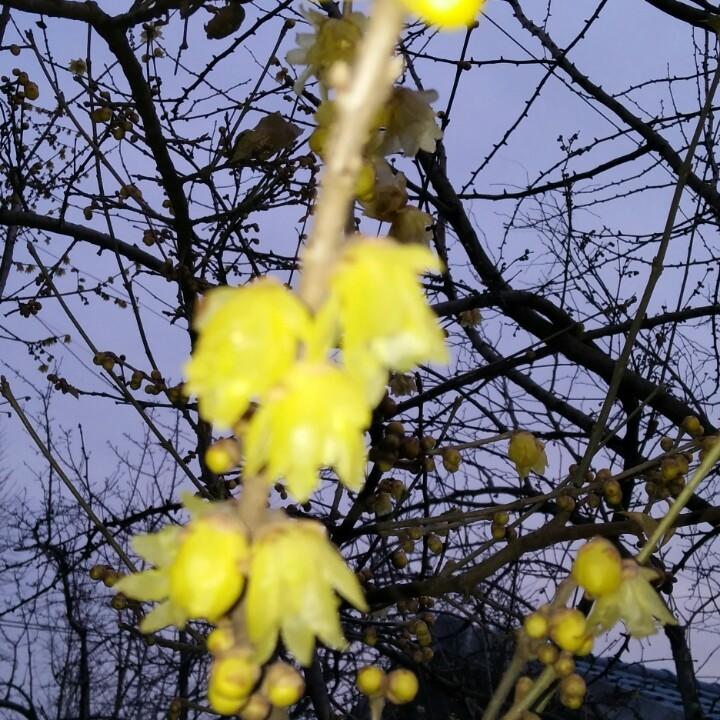 秋雨夜无眠