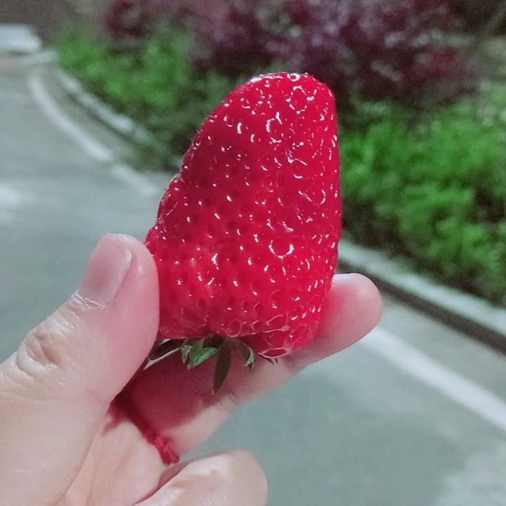 小银子🍧