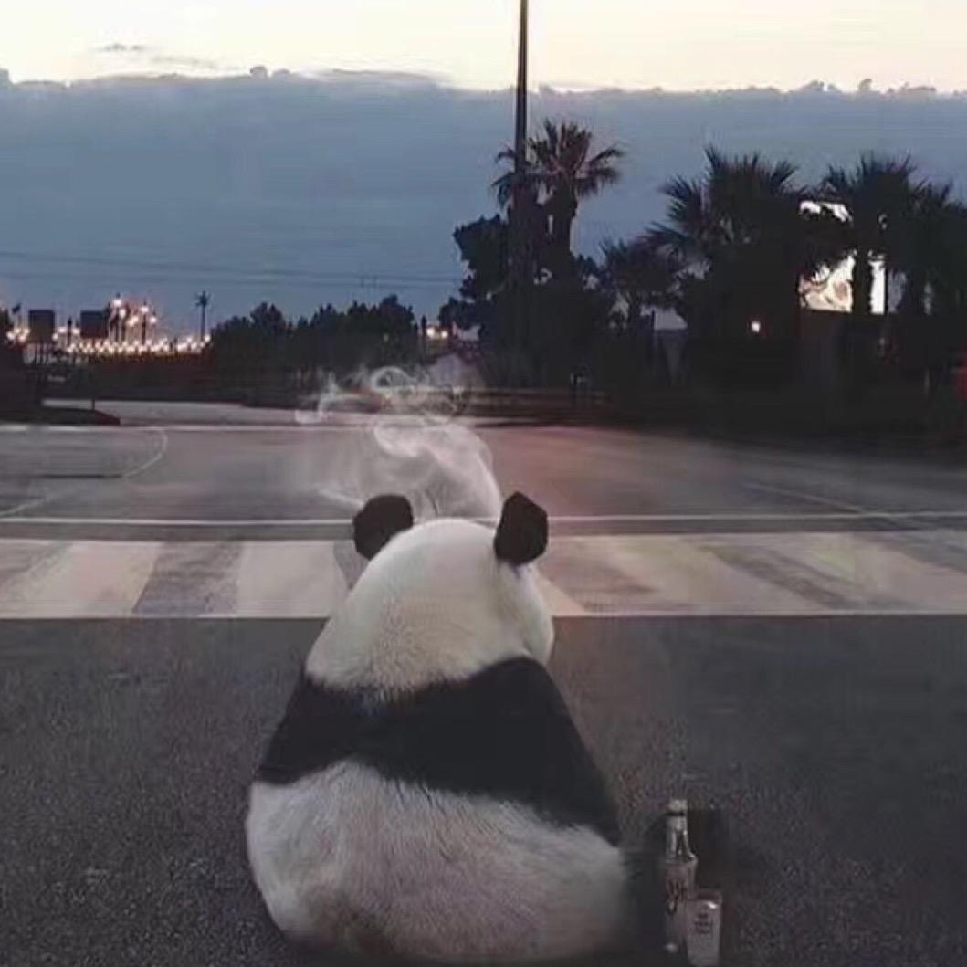 小高指定行