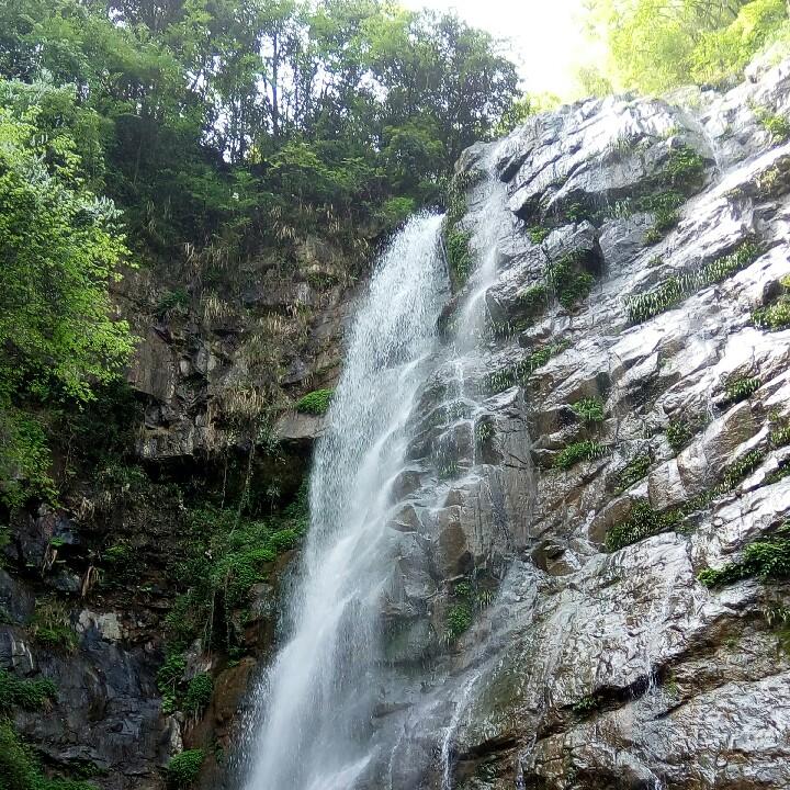 吉哥