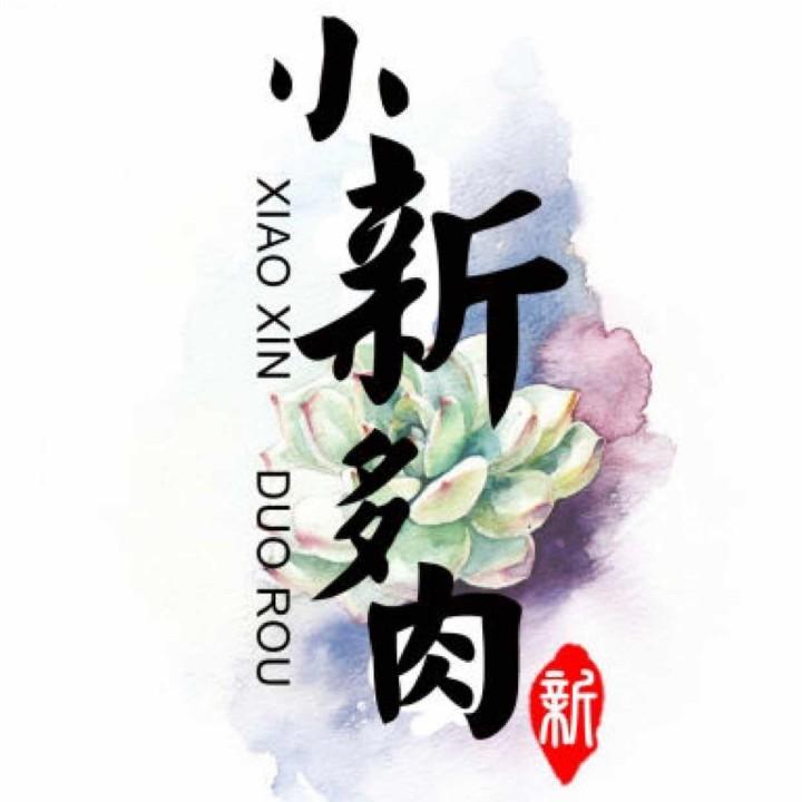 小新园艺造景(绿植多肉)