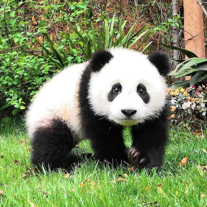 风中飘舞