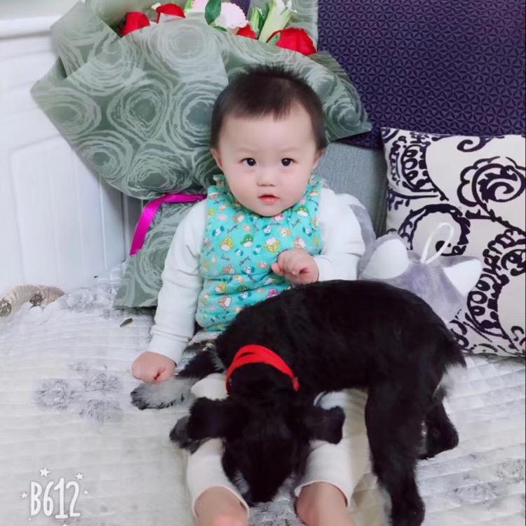 固原蒙娜丽莎瓷砖店张欣怡