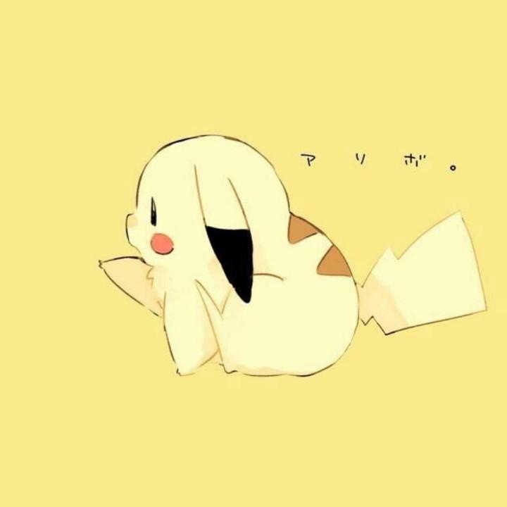 Wo.卜懂