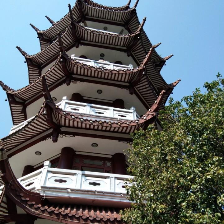小玉