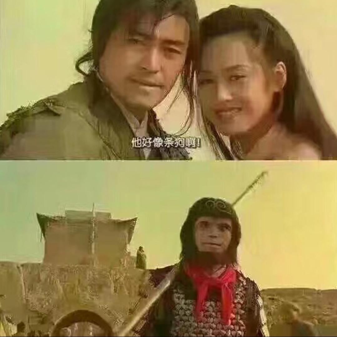 搞雅白