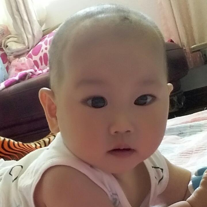 王振