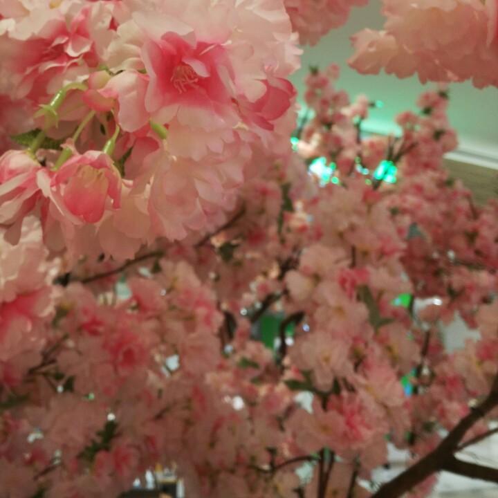 舍得