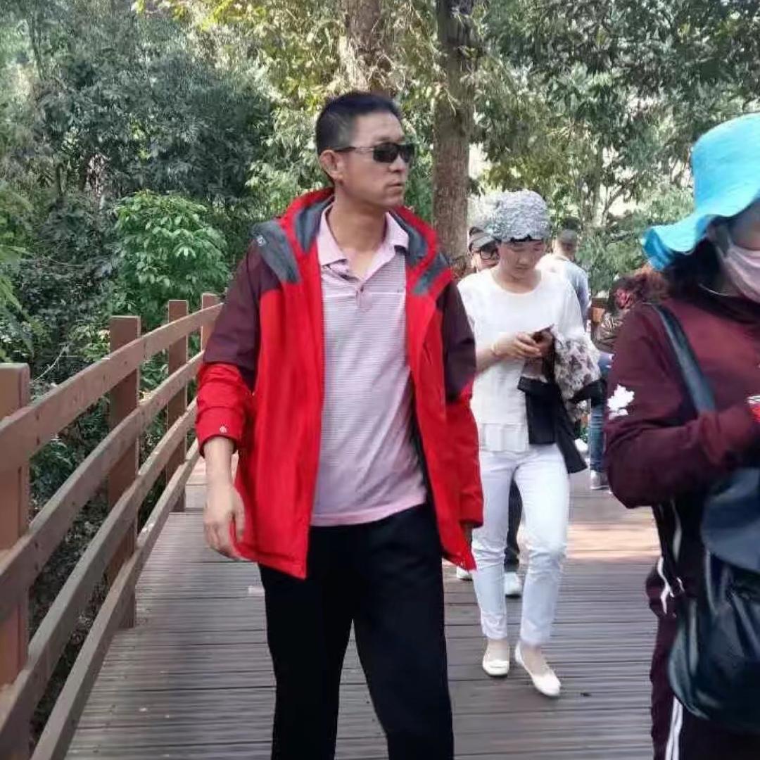 风铎鸽业&都铎王朝